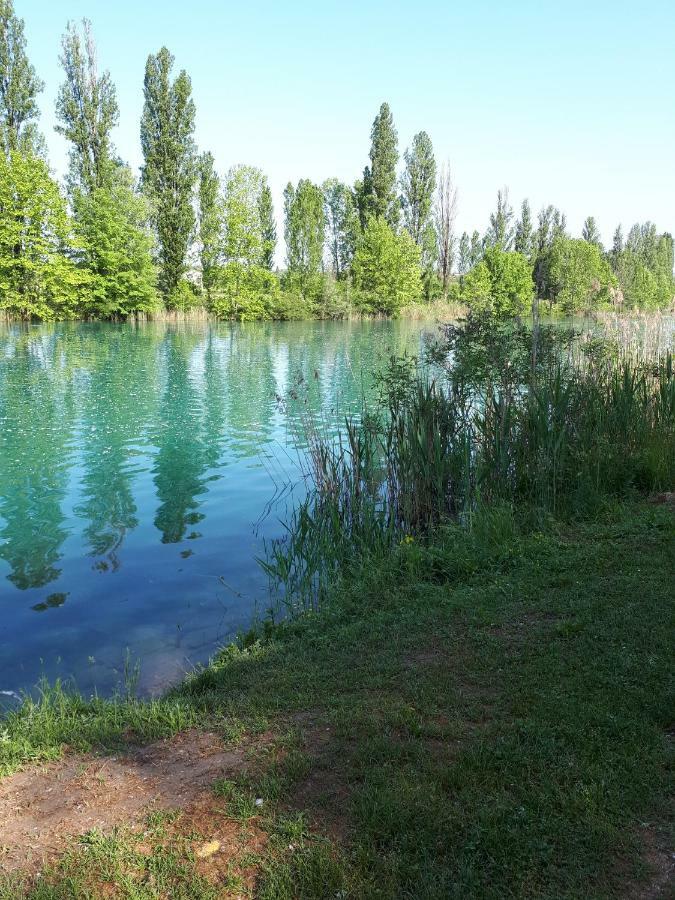 Il Glicine Sul Garda Appartamento Turistico 페스키에라델가르다 외부 사진